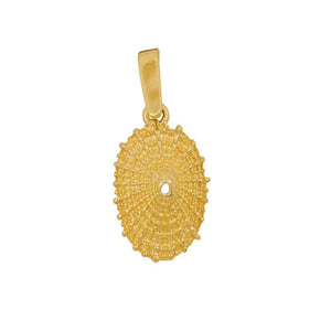 14k Yellow Gold Limpet Shell Pendant