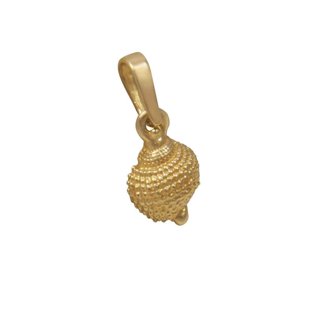 14k Yellow Gold Tiny Nutmeg Shell Pendant