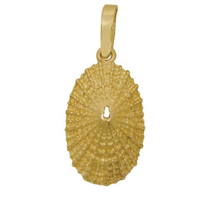 14k Yellow Gold Large Limpet Shell Pendant