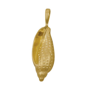 14k Yellow Gold Small Junonia Shell Pendant
