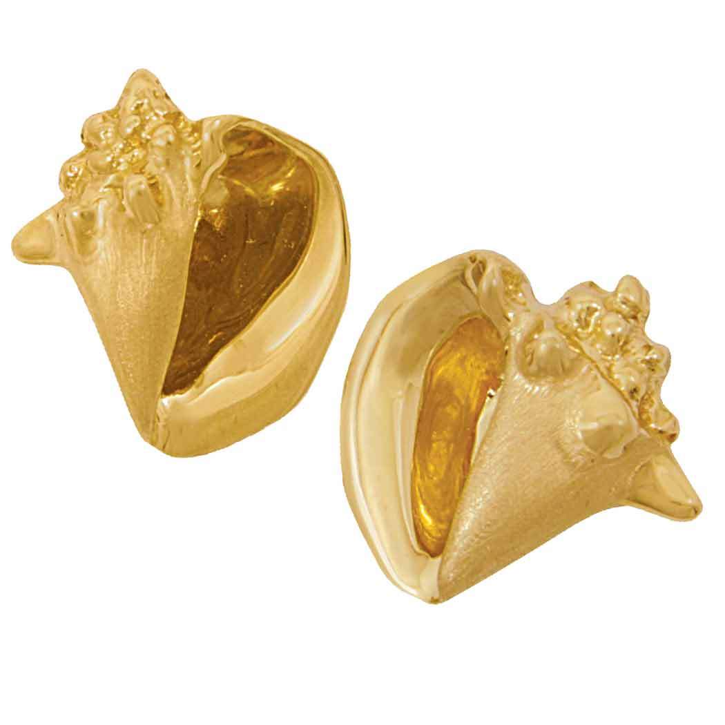 14k Yellow Gold Medium Conch Omega Back Earrings