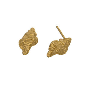14k Yellow Gold Mini Apple Murex Earrings