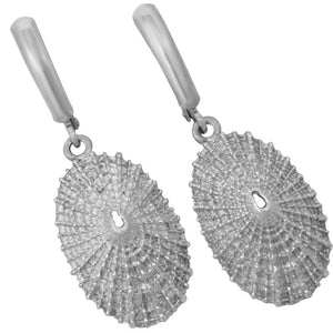 Sterling Silver Large Limpet Euro Wire Earrings